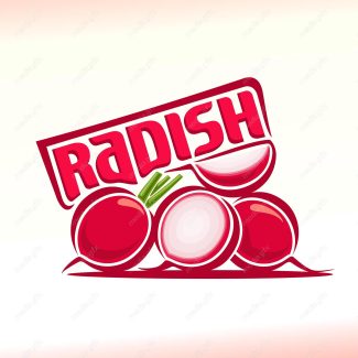 وکتور سبزیجات و صیفی جات تازه MV002026