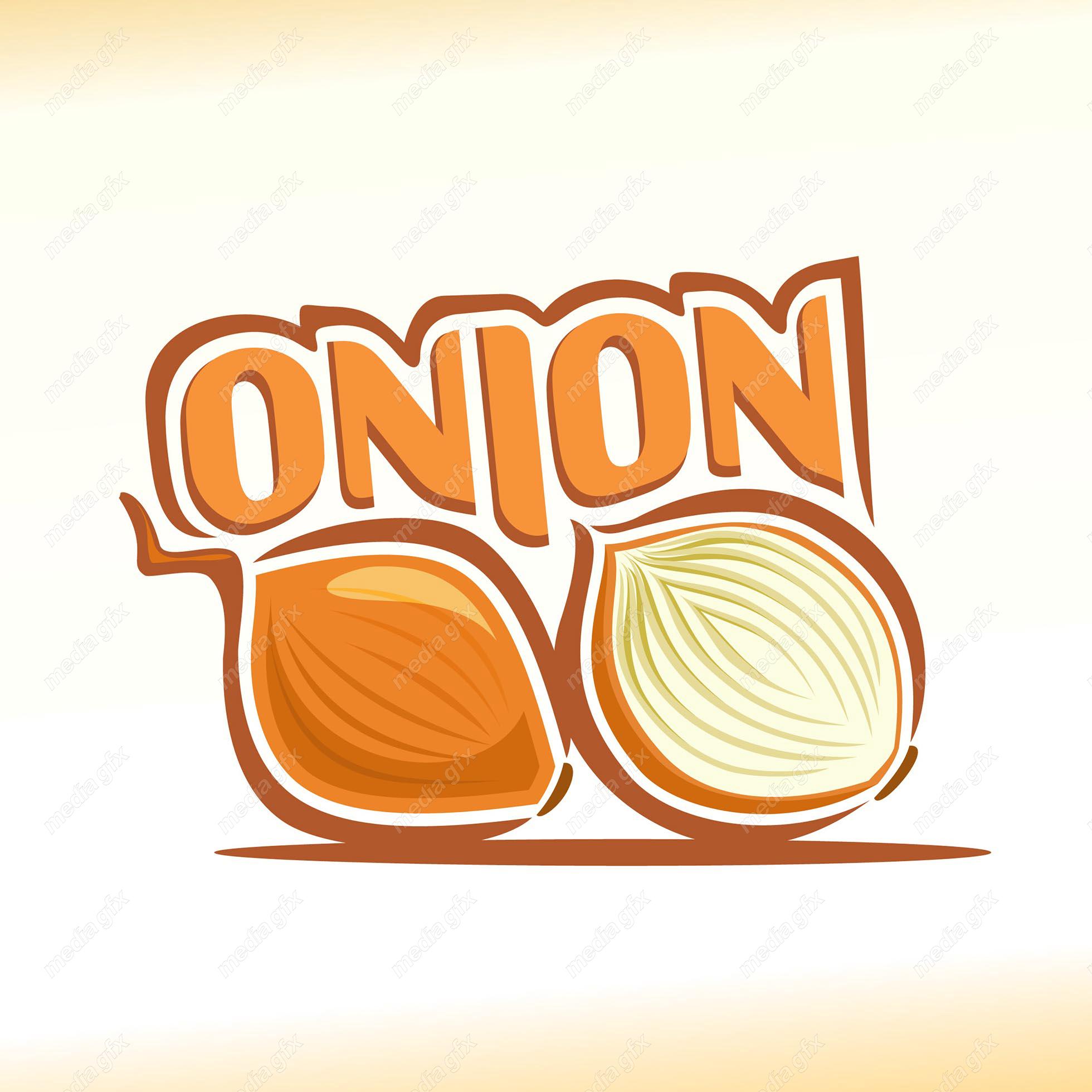 وکتور سبزیجات و صیفی جات تازه MV002030