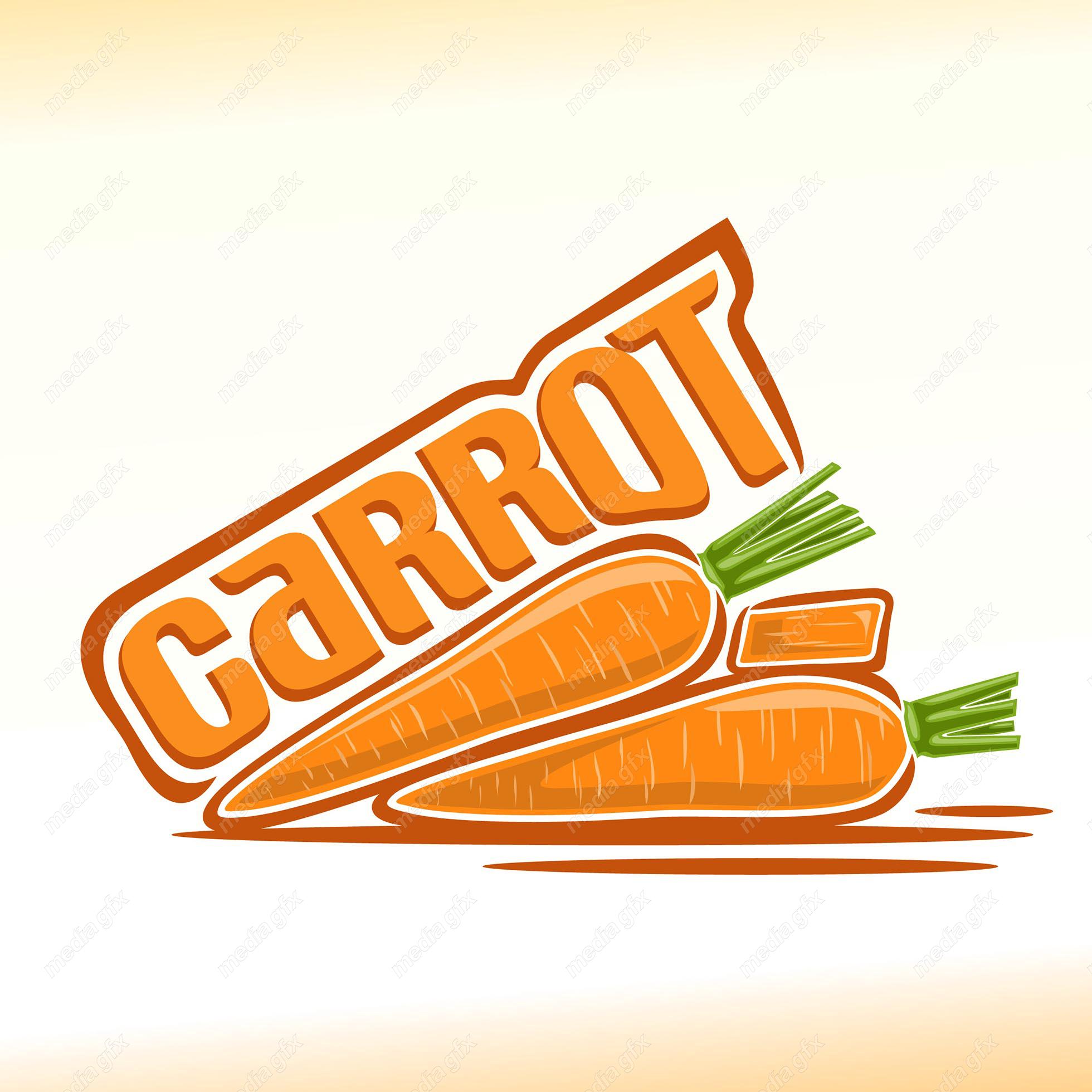 وکتور سبزیجات و صیفی جات تازه MV002039