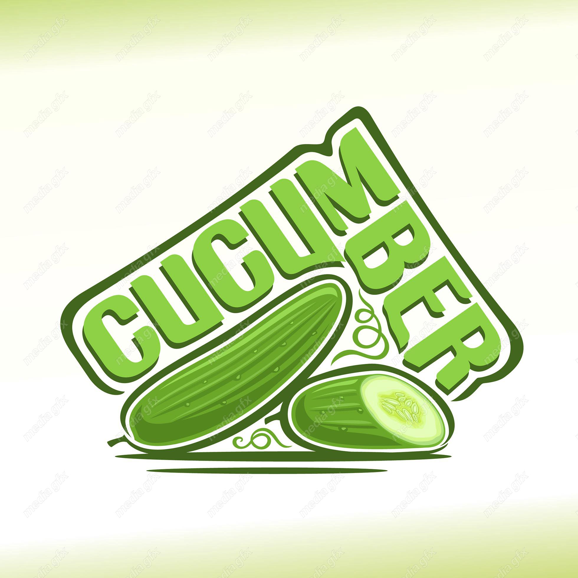 وکتور سبزیجات و صیفی جات تازه MV002042