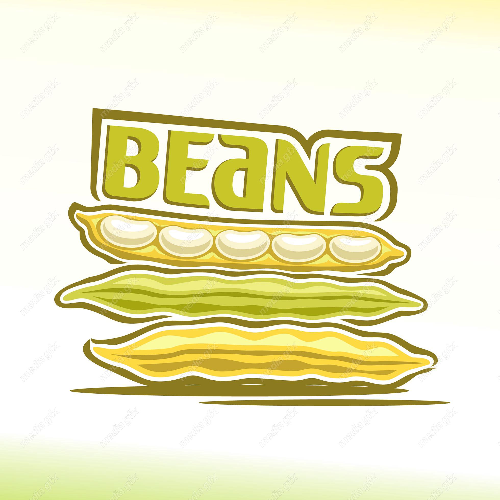 وکتور سبزیجات و صیفی جات تازه MV002043