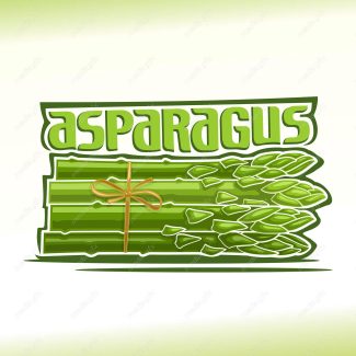 وکتور سبزیجات و صیفی جات تازه MV002045