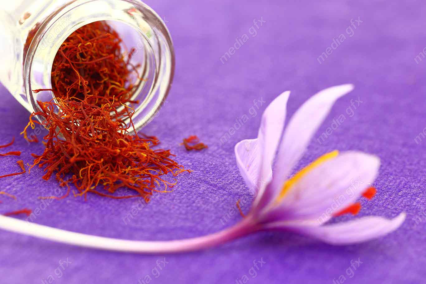 عکس زعفران با کیفیت بالا MJ002575