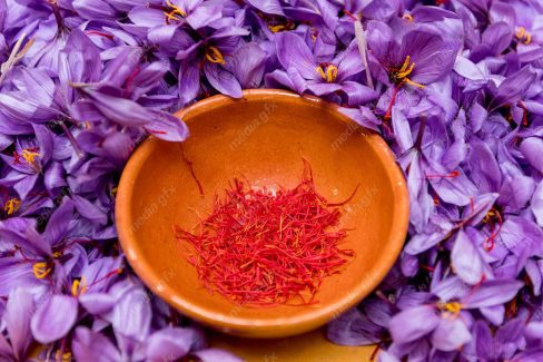 عکس زعفران با کیفیت بالا MJ002580