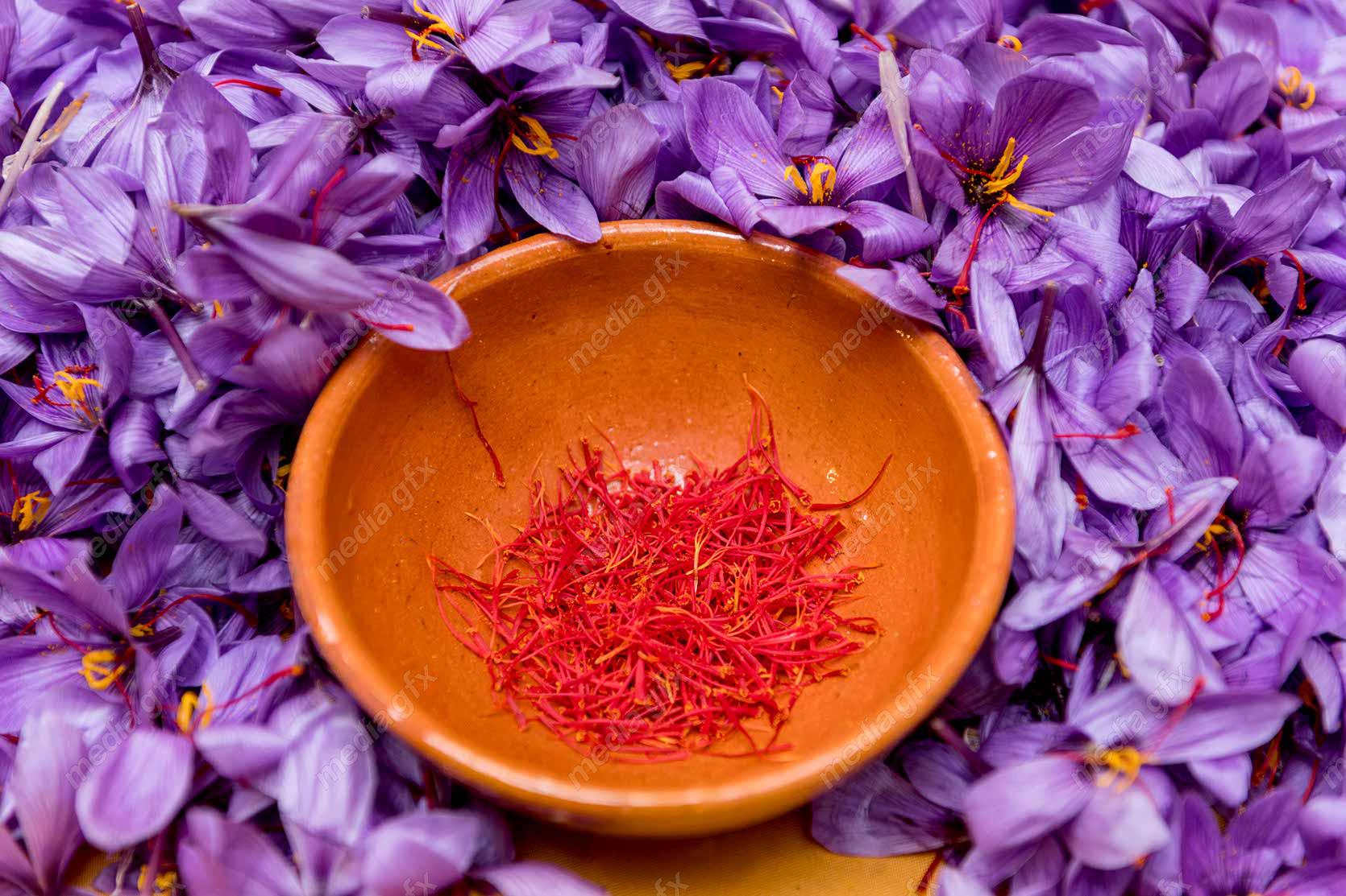 عکس زعفران با کیفیت بالا MJ002580