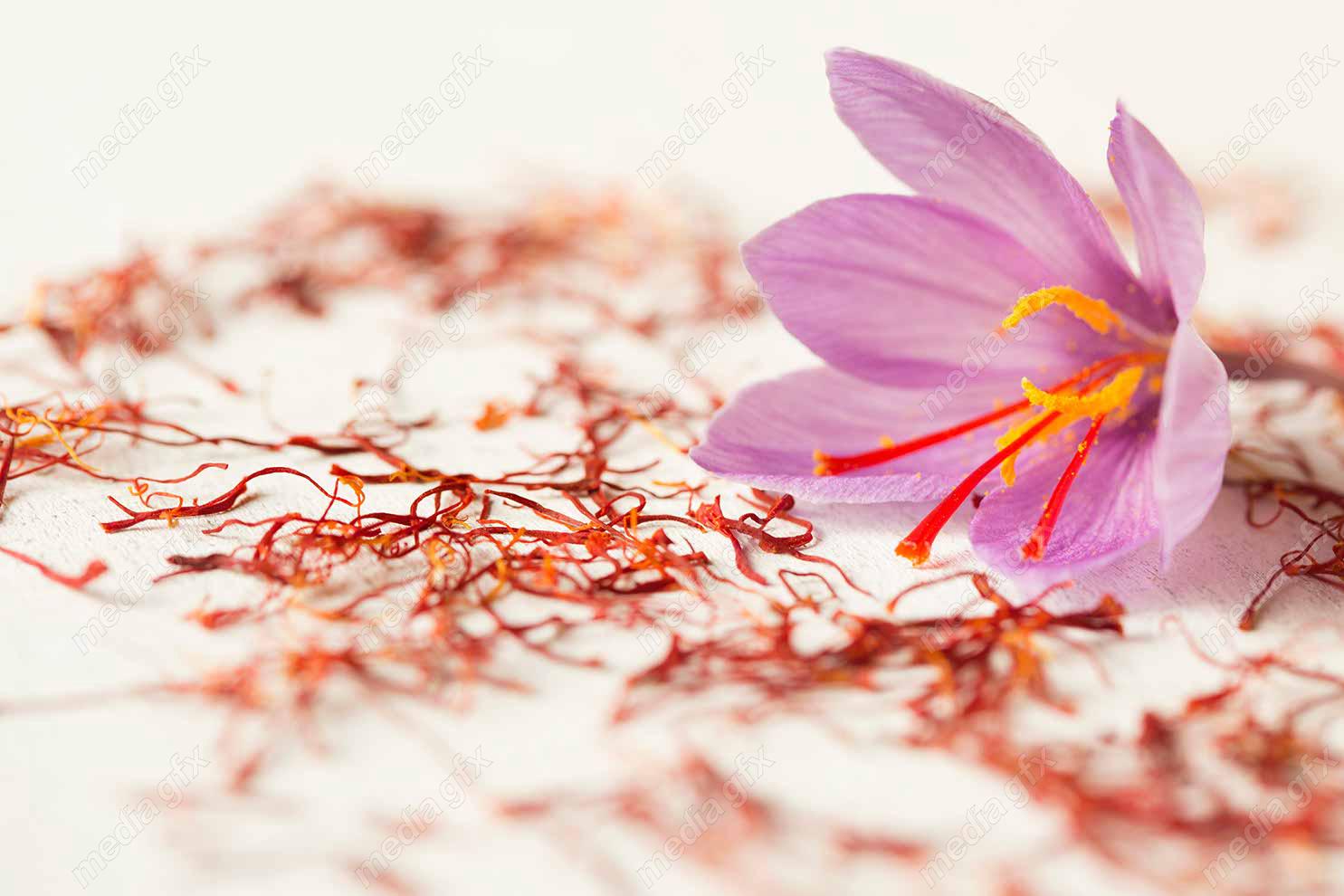 عکس زعفران با کیفیت بالا MJ002596