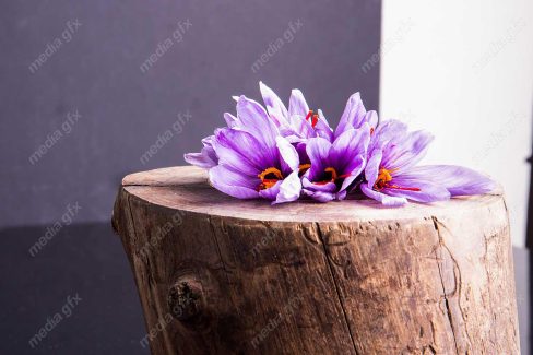 عکس زعفران با کیفیت بالا MJ002601