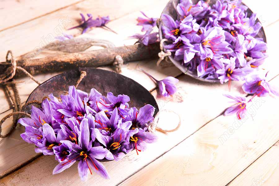 عکس زعفران با کیفیت بالا MJ002603