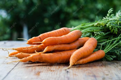 عکس با کیفیت هویج MJ003570