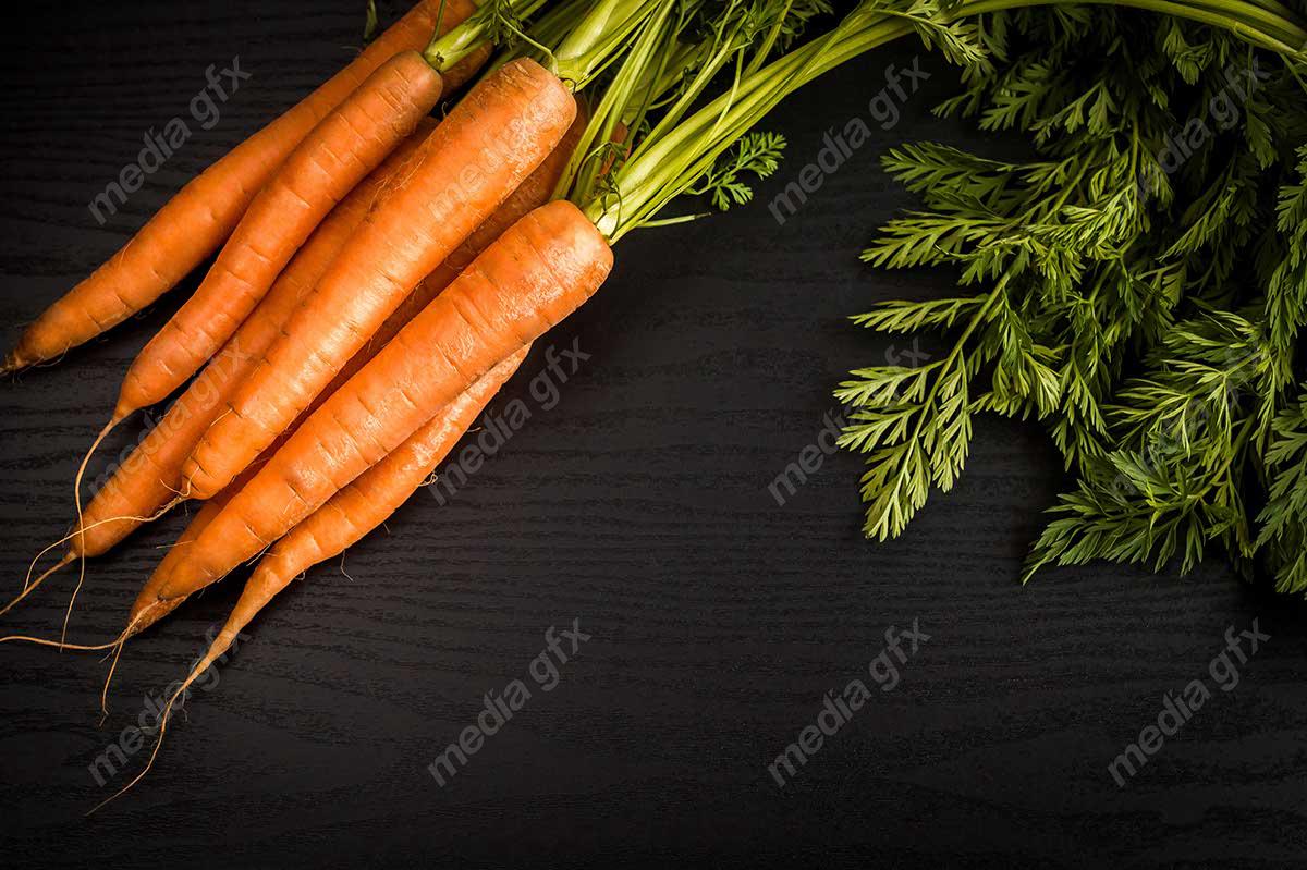 عکس با کیفیت هویج MJ003572