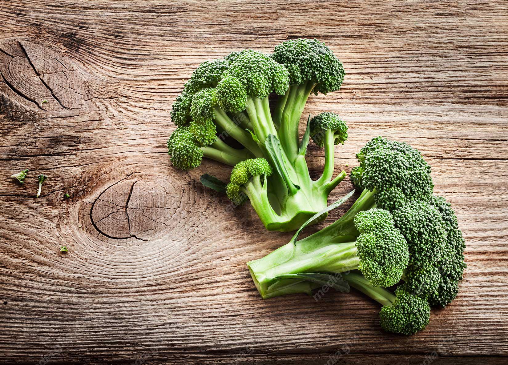 عکس با کیفیت کلم بروکلی MJ003619