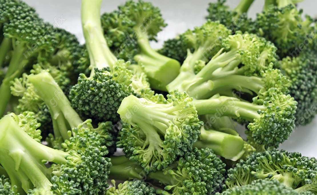 عکس با کیفیت کلم بروکلی MJ003623