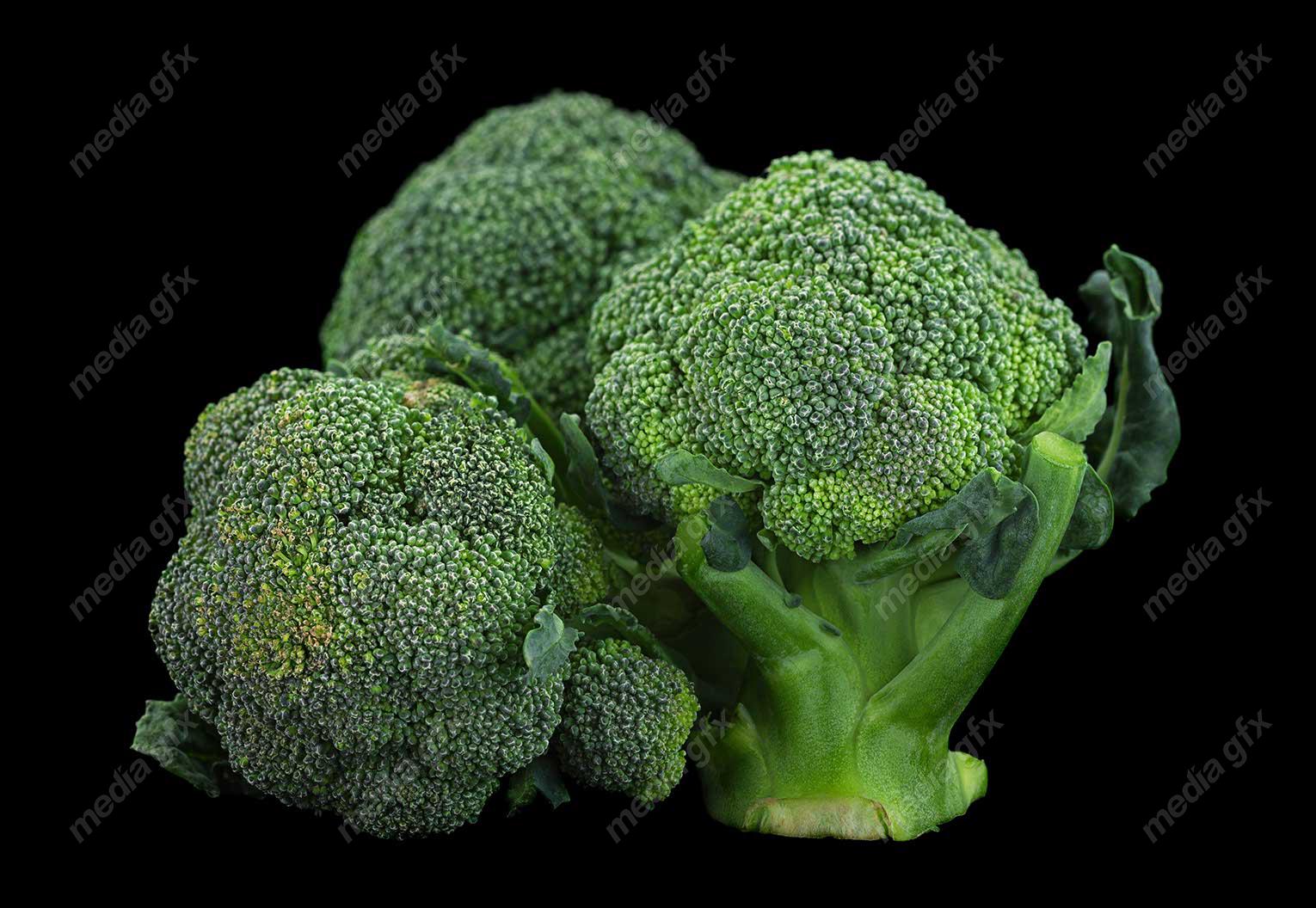 عکس با کیفیت کلم بروکلی MJ003629