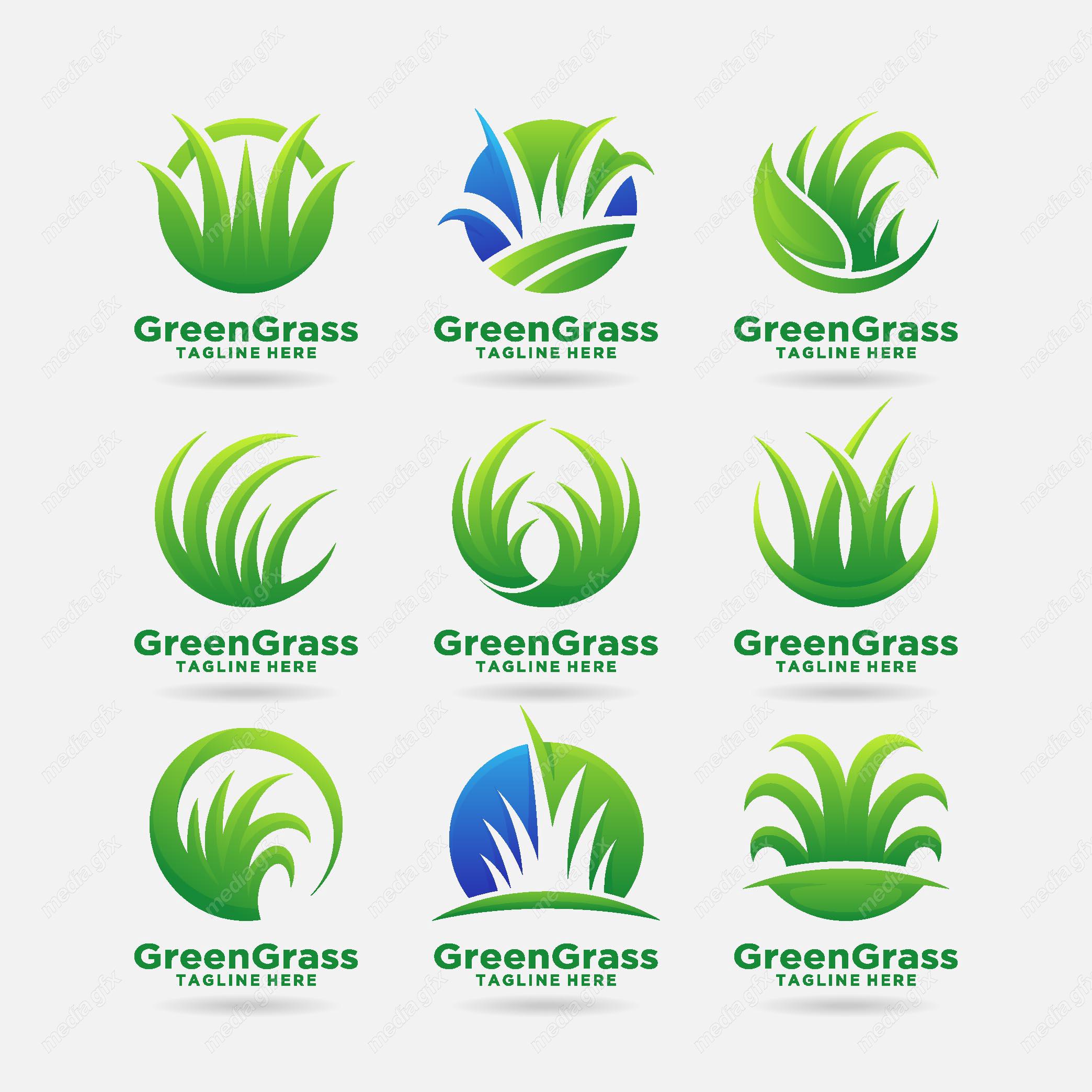 وکتور لوگوی چمن سبز MV003827