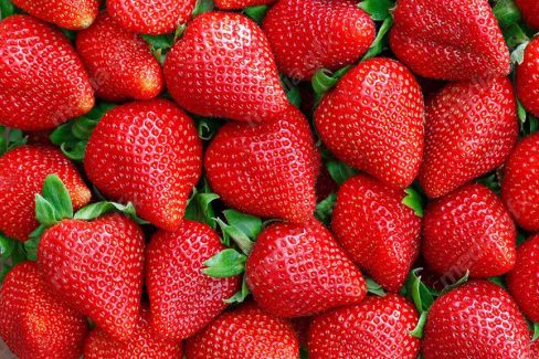 عکس با کیفیت توت فرنگی  MJ003835