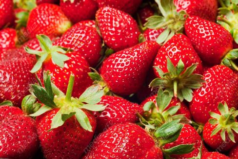 عکس با کیفیت توت فرنگی  MJ003845