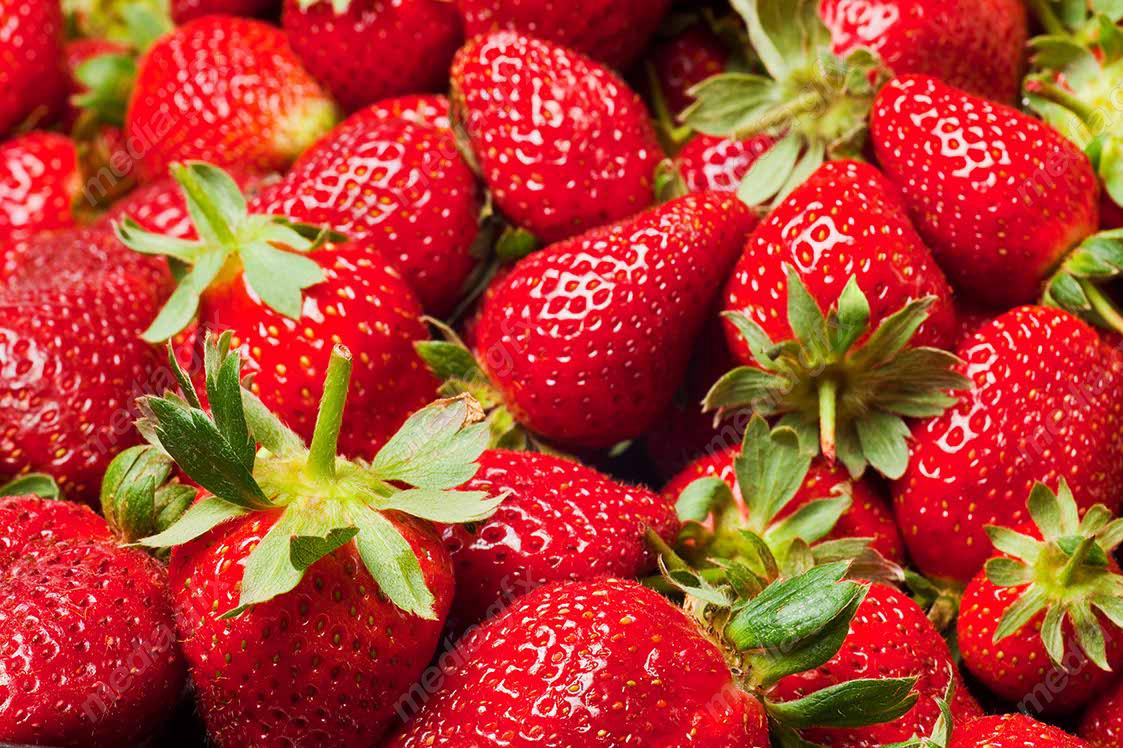 عکس با کیفیت توت فرنگی  MJ003845