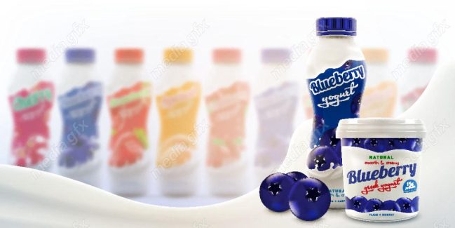 وکتور ست مجموعه از بطری های ماست میوه ای با طعم بلوبری MV003935