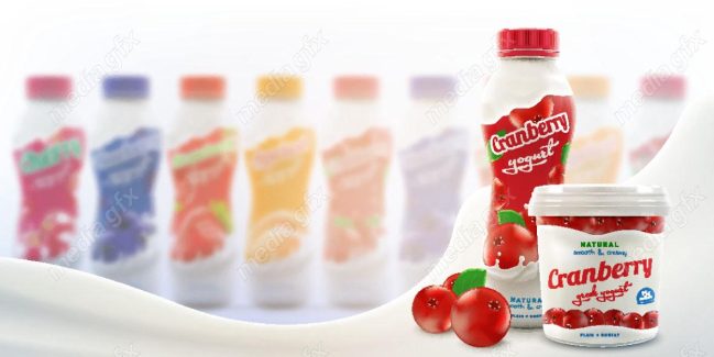 وکتور ست مجموعه از بطری های ماست میوه ای با طعم زرشک MV003938