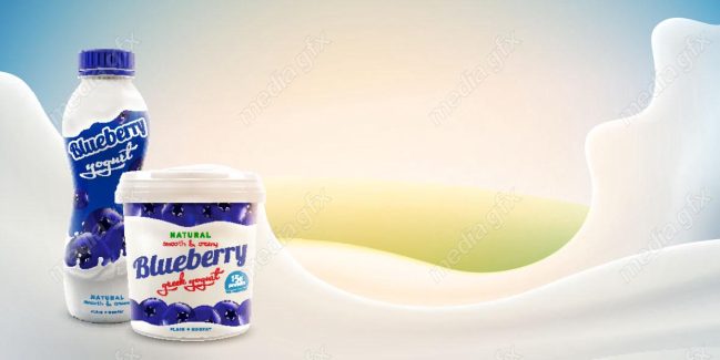 وکتور ماست میوه ای با طعم بلوبری MV003940