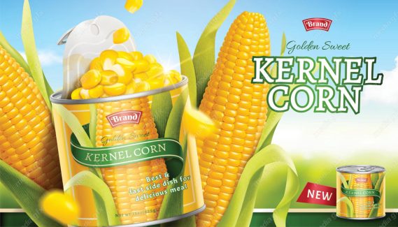 وکتور طرح لایه باز بسته بندی و پوستر کنسرو ذرت MV003965