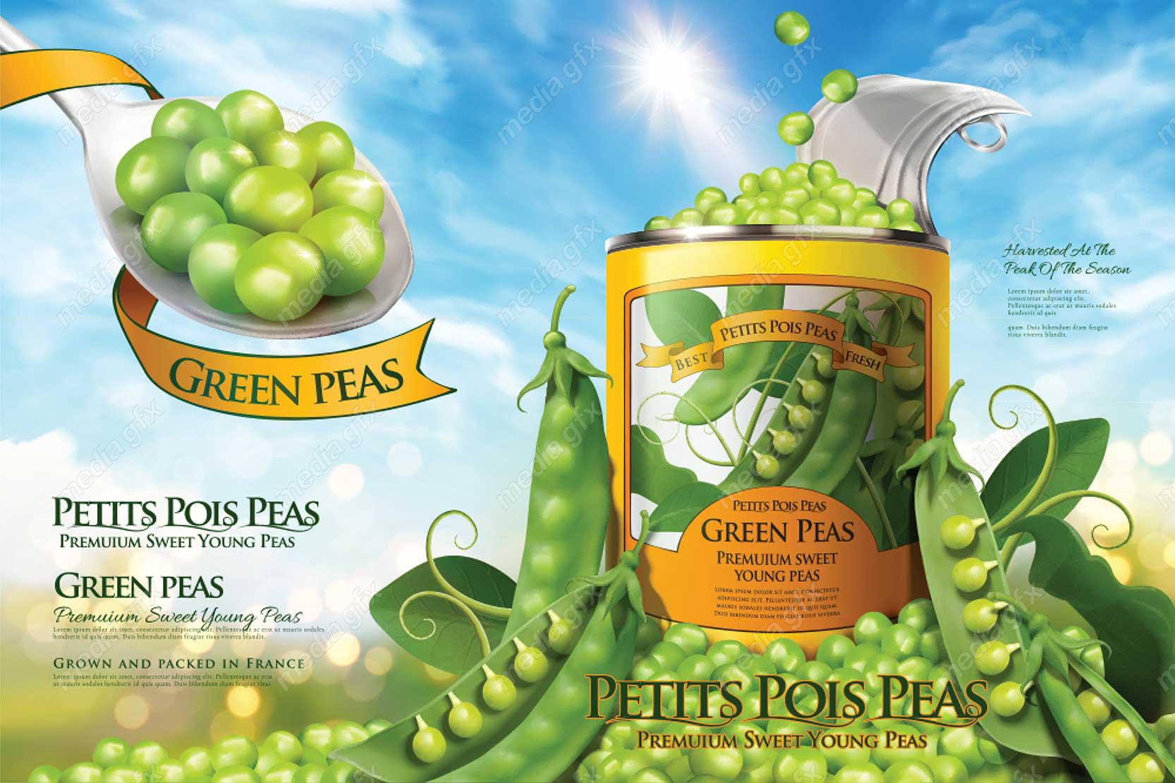 وکتور طرح لایه باز بسته بندی و پوستر کنسرو نخود سبز یا نخود فرنگی MV003967