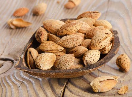 عکس با کیفیت بادام درختی MJ004113