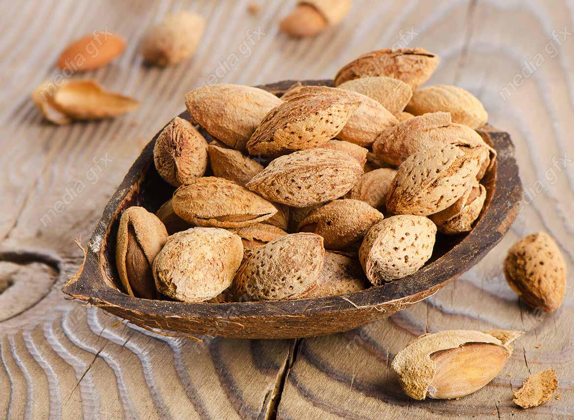 عکس با کیفیت بادام درختی MJ004113