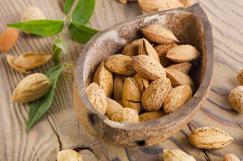 عکس با کیفیت بادام درختی MJ004115