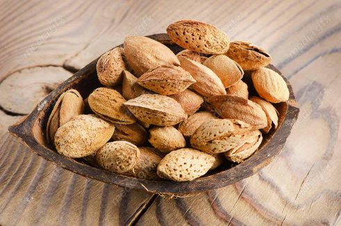 عکس با کیفیت بادام درختی MJ004116