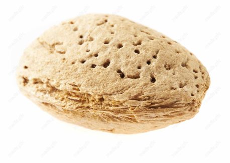 عکس با کیفیت بادام درختی پس زمینه سفید MJ004128