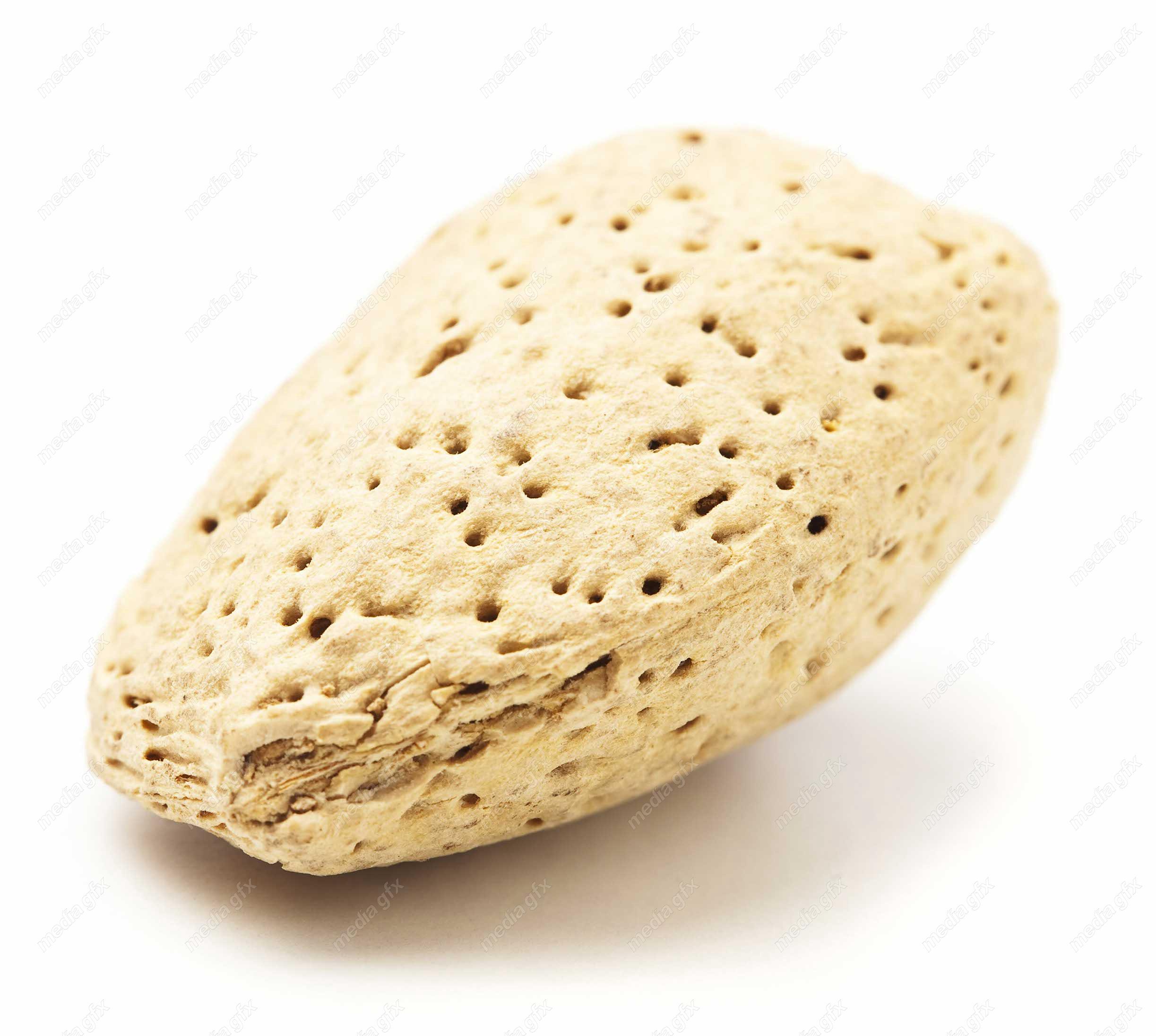 عکس با کیفیت بادام درختی پس زمینه سفید MJ004129