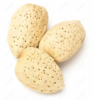 عکس با کیفیت بادام درختی پس زمینه سفید MJ004130