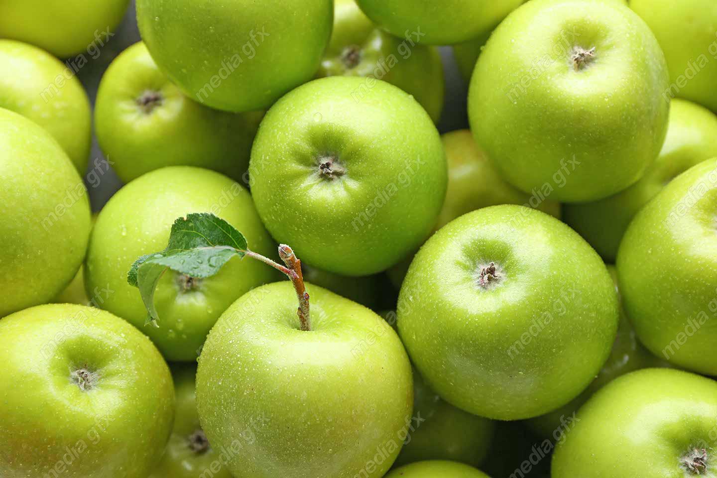 دانلود رایگان عکس با کیفیت پس زمینه سیب سبز MJ004167