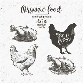 وکتور طرح لوگوی تخم مرغ، خروس و مزرعه مرغداری MV004309