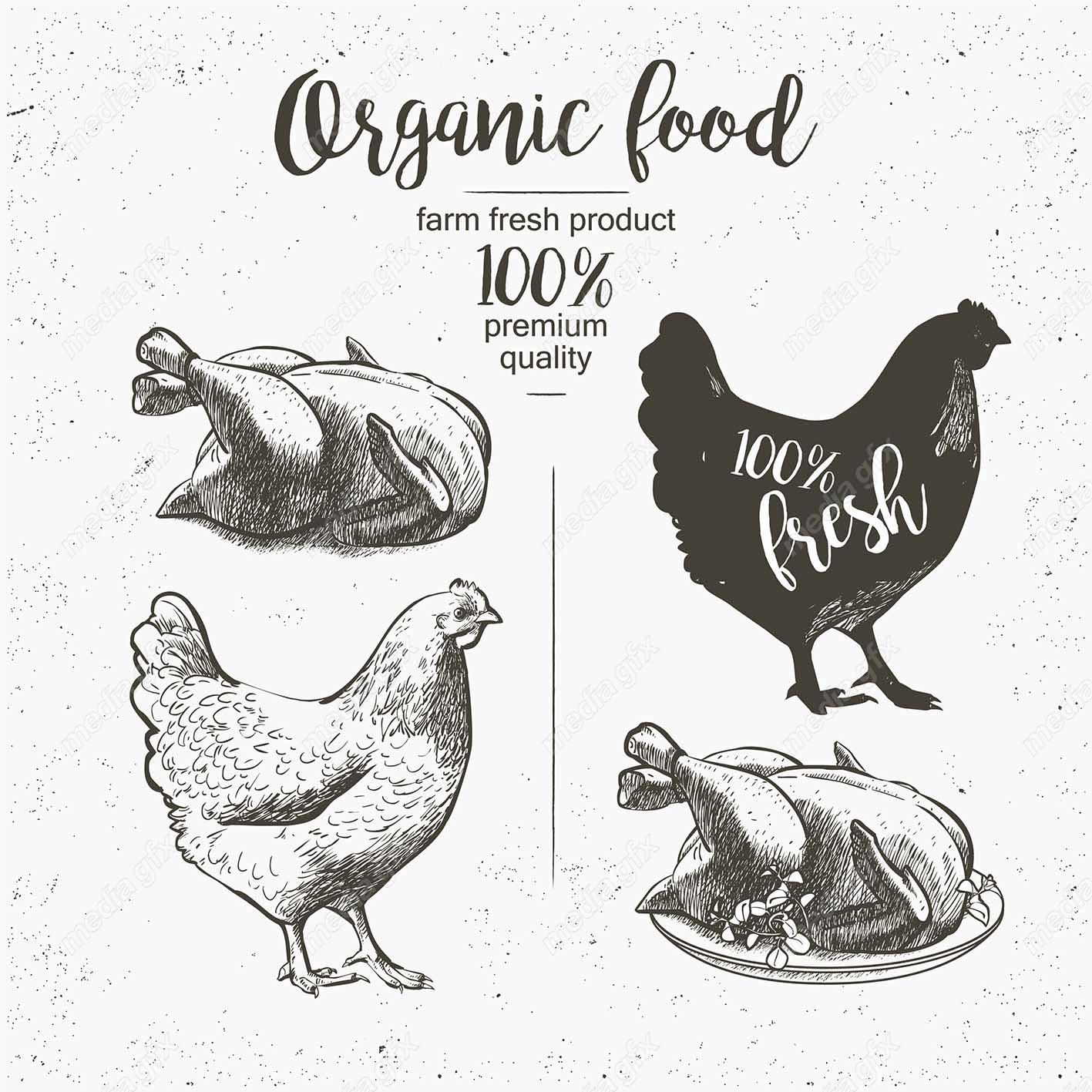 وکتور طرح لوگوی تخم مرغ، خروس و مزرعه مرغداری MV004309