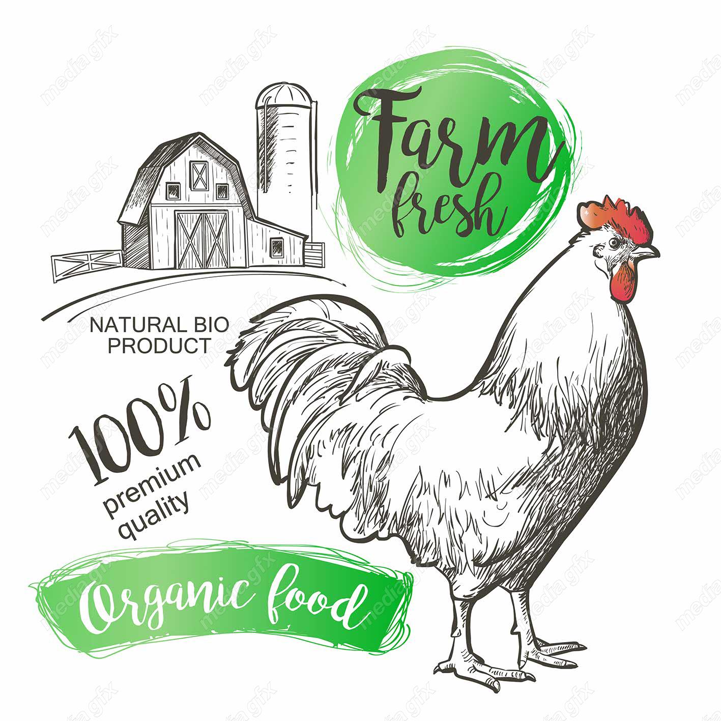 وکتور طرح لوگوی تخم مرغ، خروس و مزرعه مرغداری MV004311