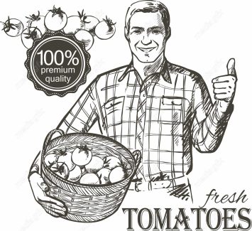 وکتور طرح لوگوی تخم مرغ، خروس و مزرعه مرغداری MV004312