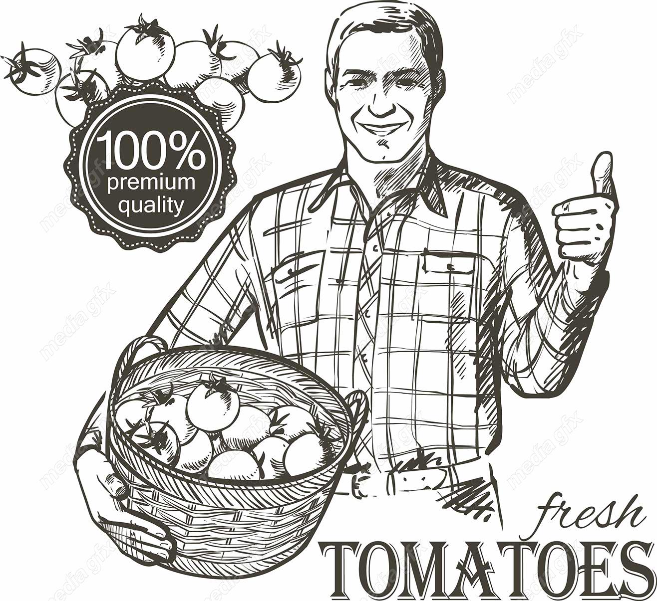 وکتور طرح لوگوی تخم مرغ، خروس و مزرعه مرغداری MV004312