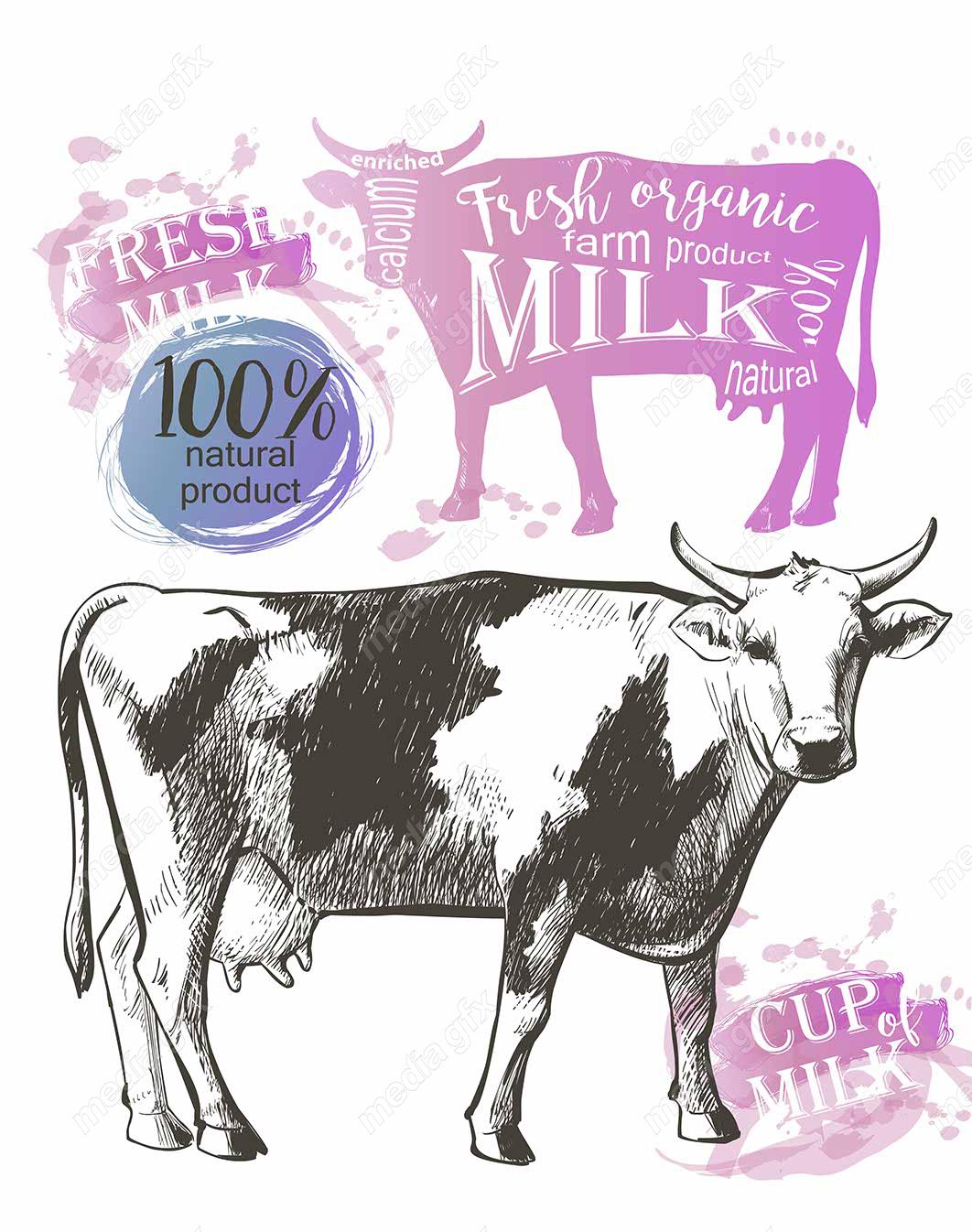 وکتور طرح لوگوی لبنیات، شیر، دوغ، ماست و کره MV004320