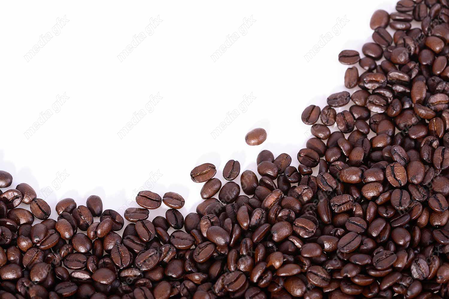 دانلود رایگان عکس با کیفیت پس زمینه دانه های قهوه عربیکا و روبوستا MJ004429