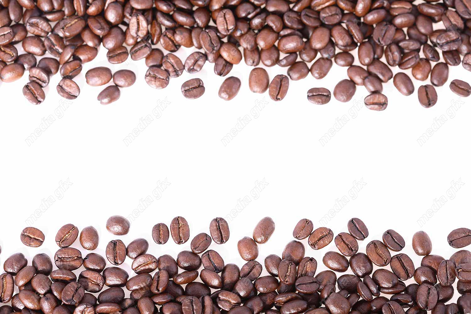 دانلود رایگان عکس با کیفیت پس زمینه دانه های قهوه عربیکا و روبوستا MJ004432