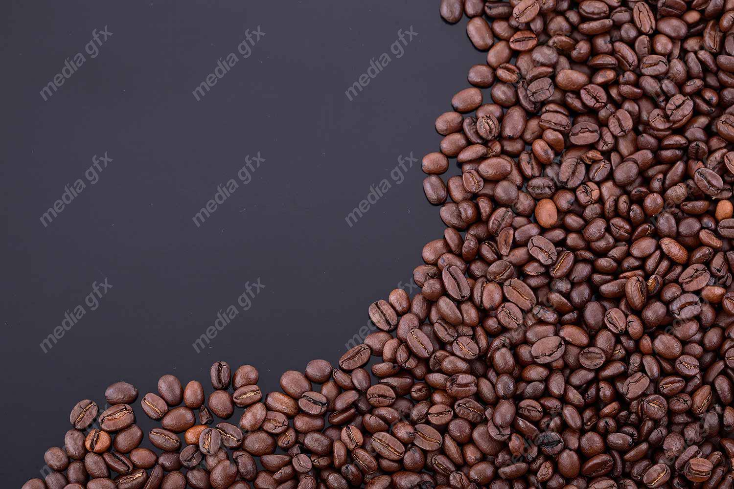 دانلود رایگان عکس با کیفیت پس زمینه دانه های قهوه عربیکا و روبوستا MJ004447