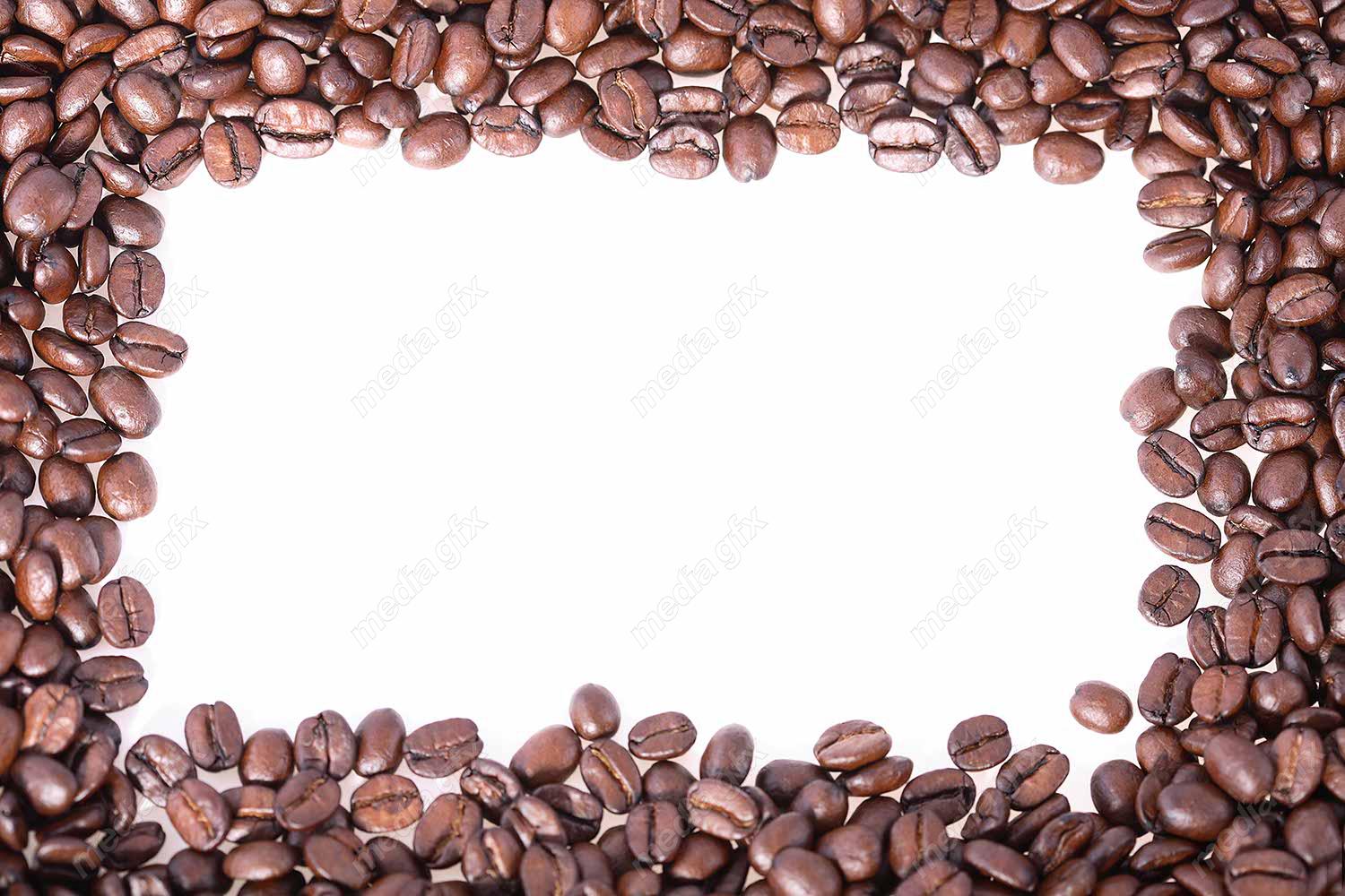 دانلود رایگان عکس با کیفیت پس زمینه دانه های قهوه عربیکا و روبوستا MJ004461