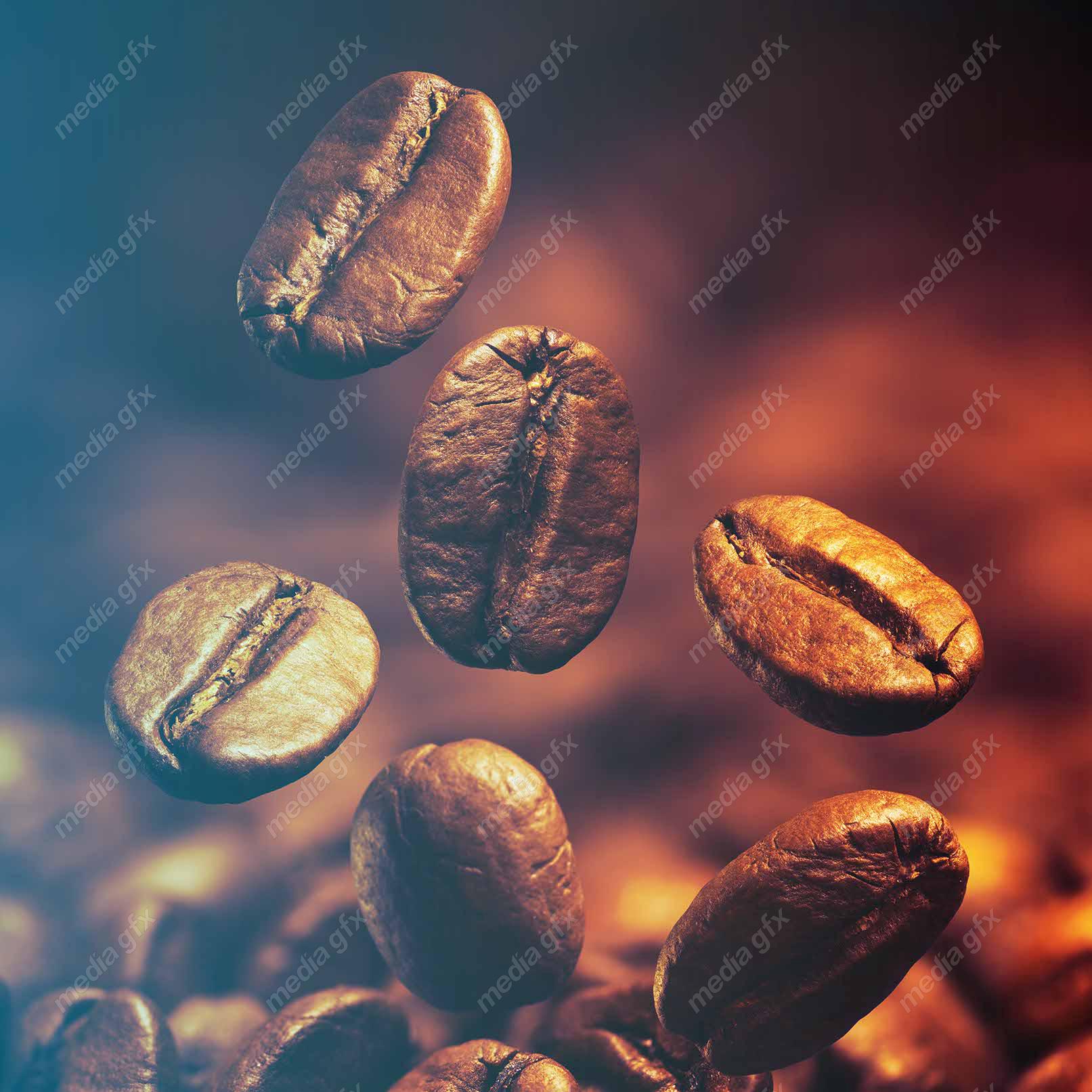 عکس با کیفیت دانه قهوه عربیکا و روبوستا MJ004475