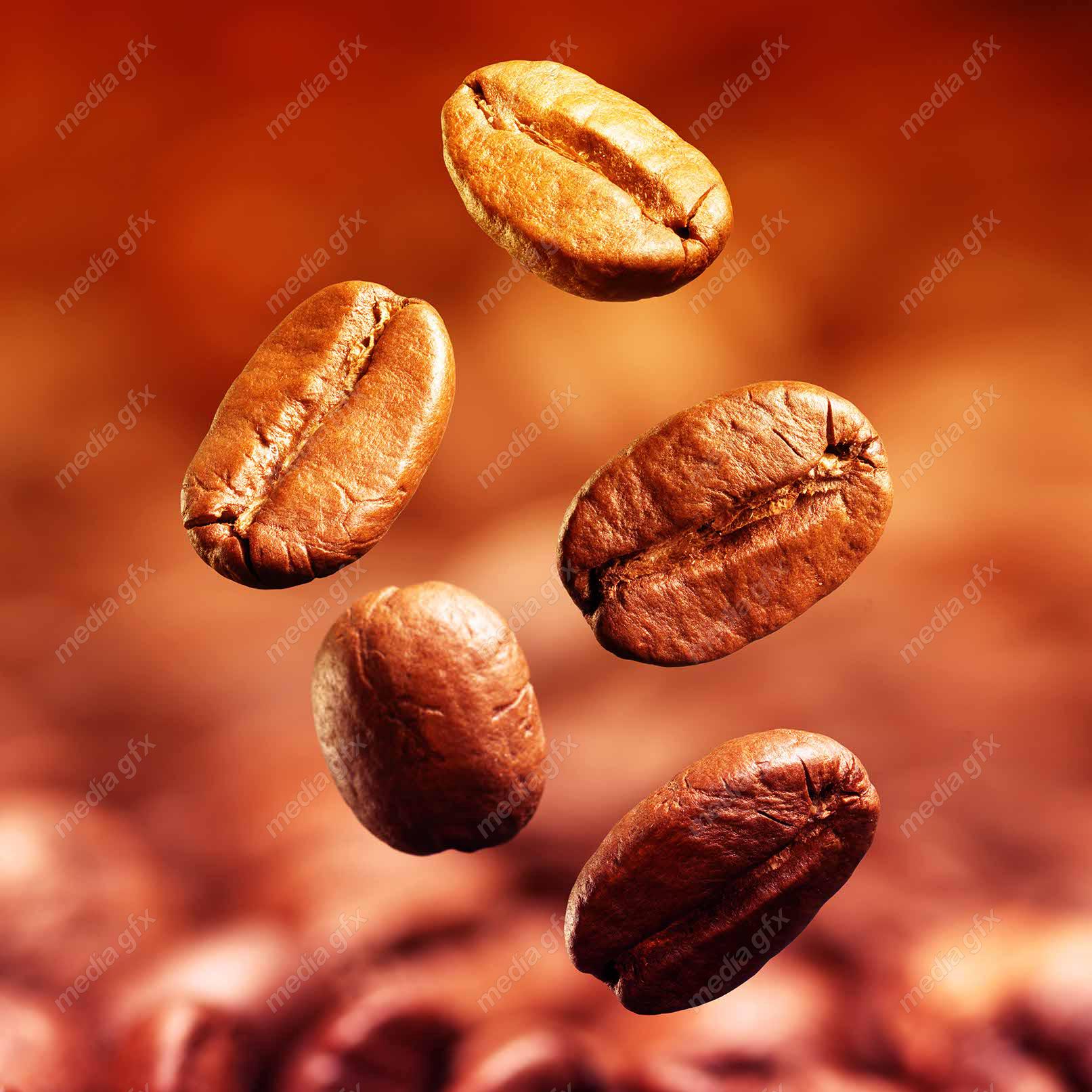 عکس با کیفیت دانه قهوه عربیکا و روبوستا MJ004476