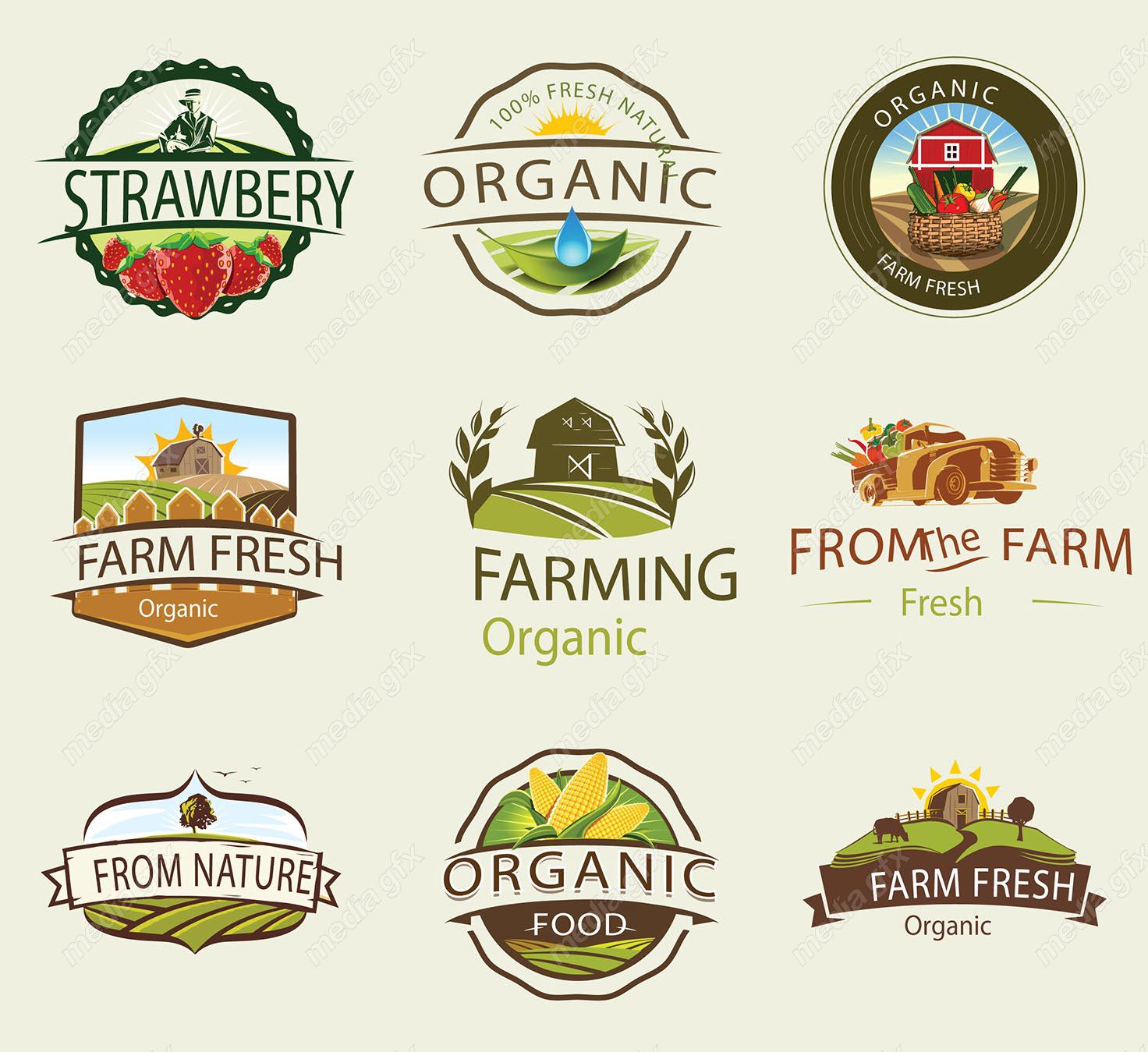 وکتور طرح لوگوی کشاورزی و باغبانی و مزرعه MV004616