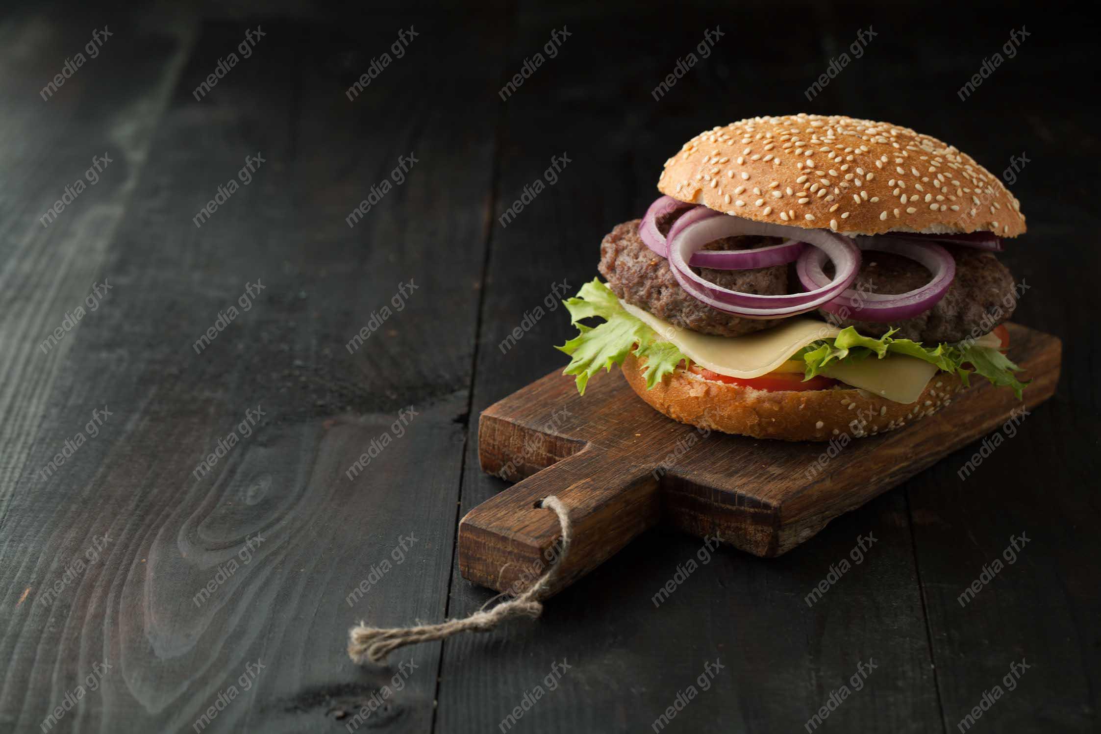 دانلود رایگان عکس با کیفیت همبرگر، فست فود و سیب زمینی MJ004736