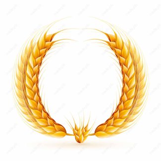 وکتور خوشه گندم  MV002981