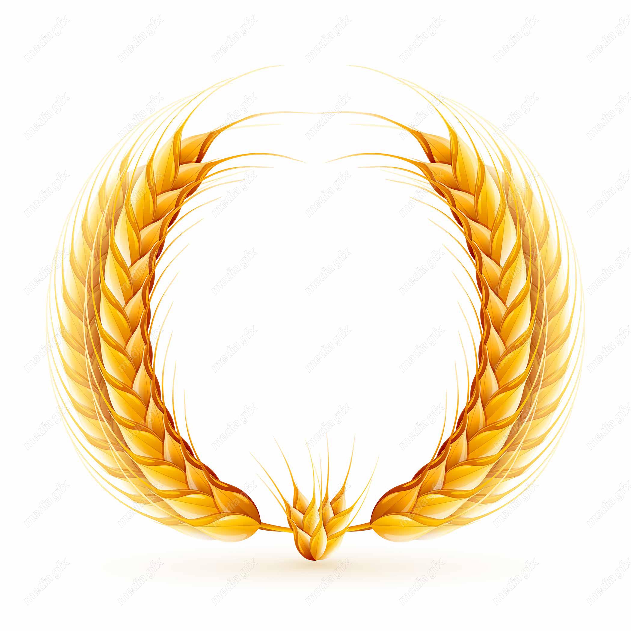 وکتور خوشه گندم  MV002981